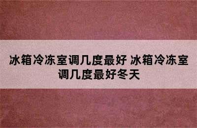 冰箱冷冻室调几度最好 冰箱冷冻室调几度最好冬天